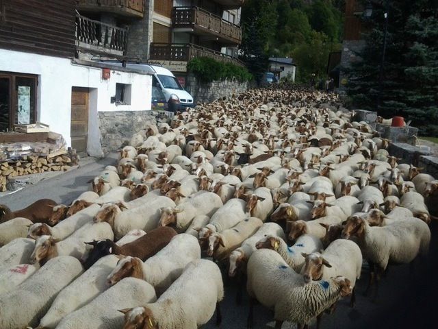 foto 20 Aluguer de frias entre particulares Champagny en Vanoise appartement Rdano-Alpes Sabia