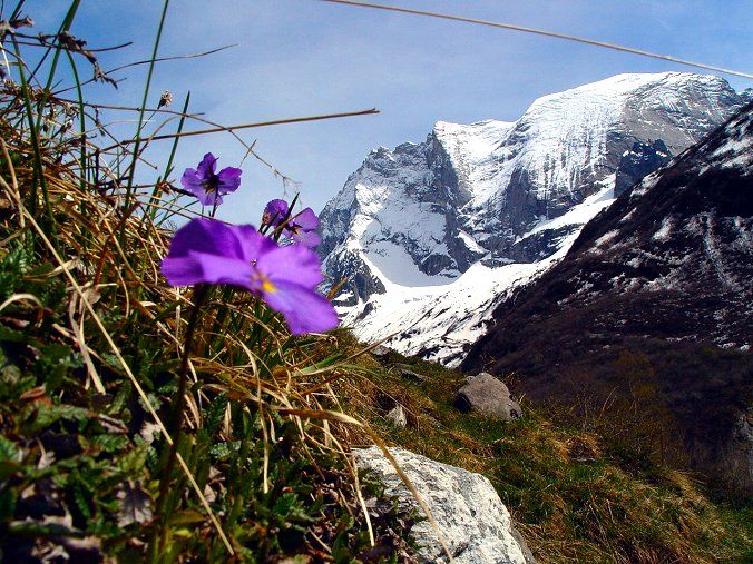 foto 21 Aluguer de frias entre particulares Champagny en Vanoise appartement Rdano-Alpes Sabia Vista dos arredores