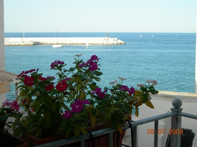 foto 13 Aluguer de frias entre particulares Monopoli appartement Puglia Bari (provncia de) Varanda