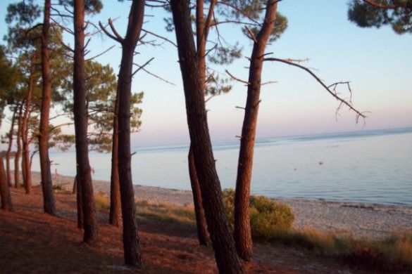 foto 14 Aluguer de frias entre particulares Andernos les Bains maison Aquitnia Gironda Praia