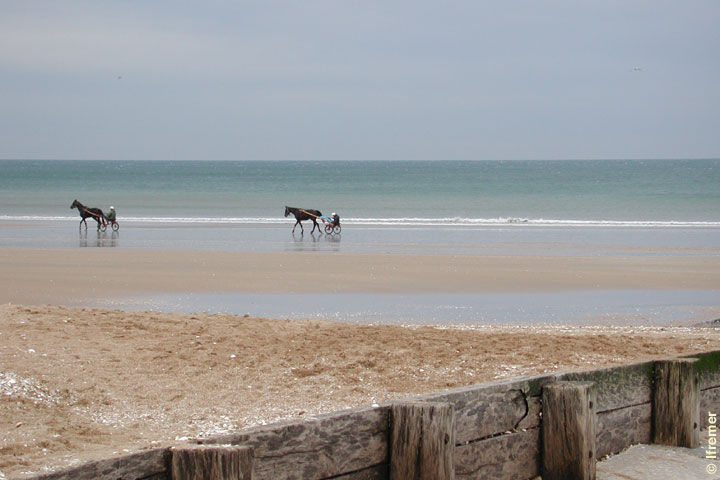 foto 15 Aluguer de frias entre particulares Cabourg appartement Baixa-Normandia Calvados Vista desde do alojamento