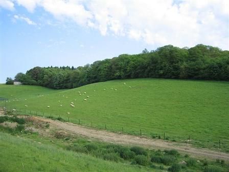 foto 12 Aluguer de férias entre particulares Chimay gite Hainaut  Vista desde do alojamento