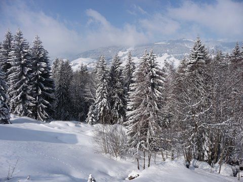 foto 12 Aluguer de frias entre particulares Megve appartement Rdano-Alpes Alta Sabia vista da varanda