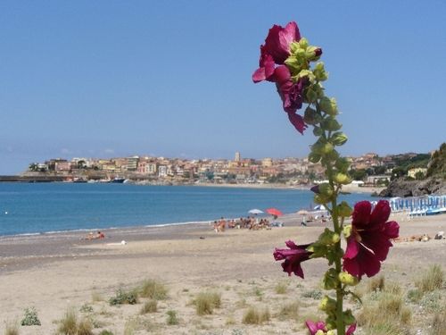 foto 21 Aluguer de frias entre particulares Marina di Camerota appartement Campnia Salerno Praia