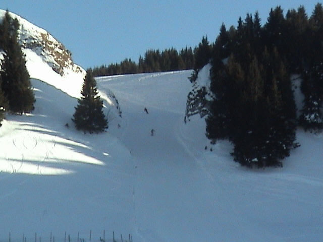 foto 5 Aluguer de férias entre particulares Thollon Les Mémises appartement Ródano-Alpes Alta Sabóia Vista dos arredores