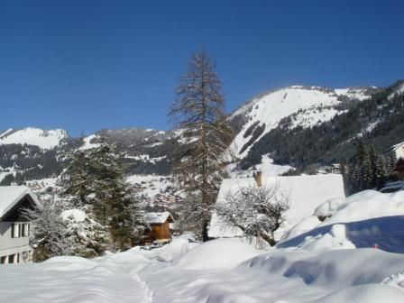 foto 17 Aluguer de férias entre particulares Châtel chalet Ródano-Alpes Alta Sabóia Vista do terraço