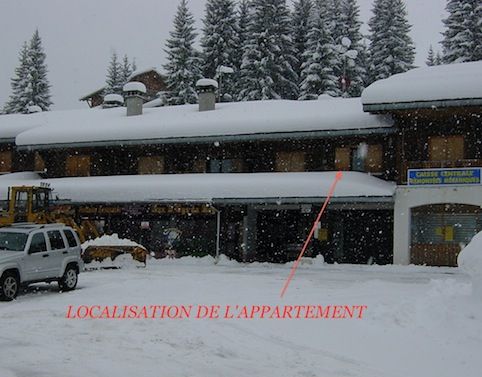 foto 12 Aluguer de frias entre particulares Praz de Lys Sommand appartement Rdano-Alpes Alta Sabia Vista exterior do alojamento