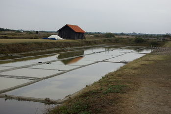 foto 11 Aluguer de férias entre particulares Saint Hilaire de Riez maison Pays de la Loire Vendée Outras