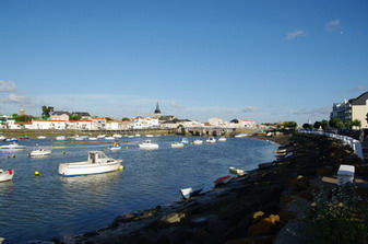 foto 12 Aluguer de férias entre particulares Saint Hilaire de Riez maison Pays de la Loire Vendée Outras