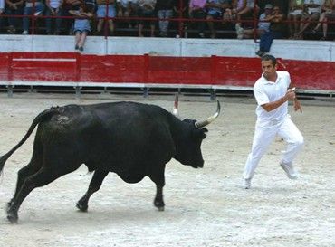 foto 6 Aluguer de frias entre particulares Le Grau du Roi studio Languedoc-Roussillon Gard