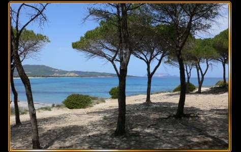 foto 0 Aluguer de férias entre particulares Budoni maison Sardenha Olbia Tempio (província de) Vista dos arredores