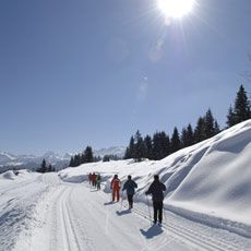 foto 20 Aluguer de férias entre particulares Annecy appartement Ródano-Alpes Alta Sabóia