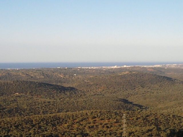 foto 18 Aluguer de frias entre particulares Loul insolite Algarve  Vista dos arredores