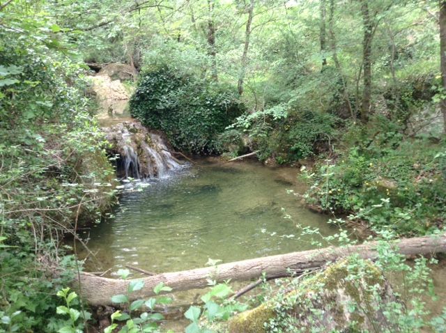 foto 9 Aluguer de frias entre particulares La Tour d'Aigues gite Provena-Alpes-Costa Azul Vaucluse Vista exterior do alojamento