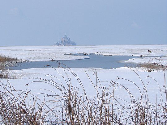 foto 10 Aluguer de frias entre particulares Monte Saint-Michel gite Baixa-Normandia Mancha Vista dos arredores