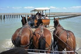 foto 19 Aluguer de frias entre particulares Gouville sur Mer gite Baixa-Normandia Mancha Praia