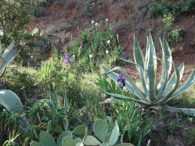 foto 1 Aluguer de frias entre particulares Puget-Ville maison Provena-Alpes-Costa Azul Var