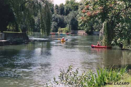 foto 14 Aluguer de frias entre particulares Fontainebleau villa Ile-de-France Seine-et-Marne Outras