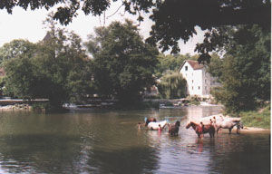 foto 17 Aluguer de frias entre particulares Fontainebleau villa Ile-de-France Seine-et-Marne Outras