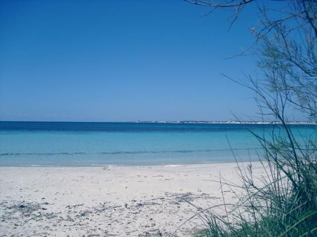 foto 18 Aluguer de frias entre particulares Porto Cesareo villa Puglia Lecce (provncia de) Praia