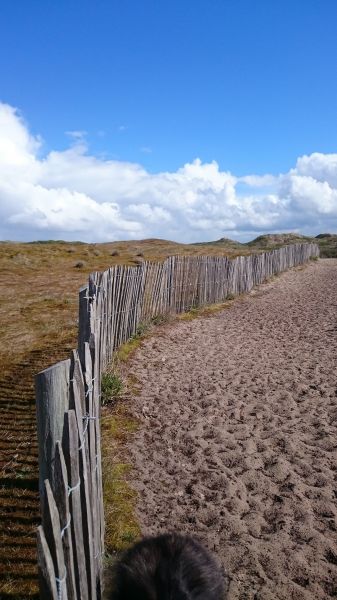 foto 18 Aluguer de férias entre particulares Fort Mahon maison Picardie Somme