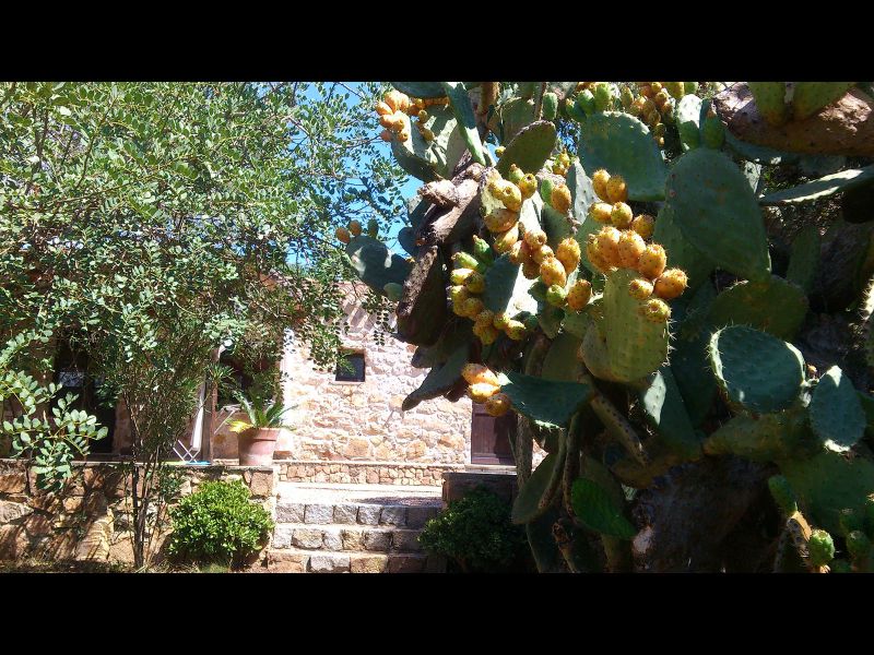 foto 2 Aluguer de férias entre particulares Santa Maria Navarrese villa Sardenha Ogliastra (província de)