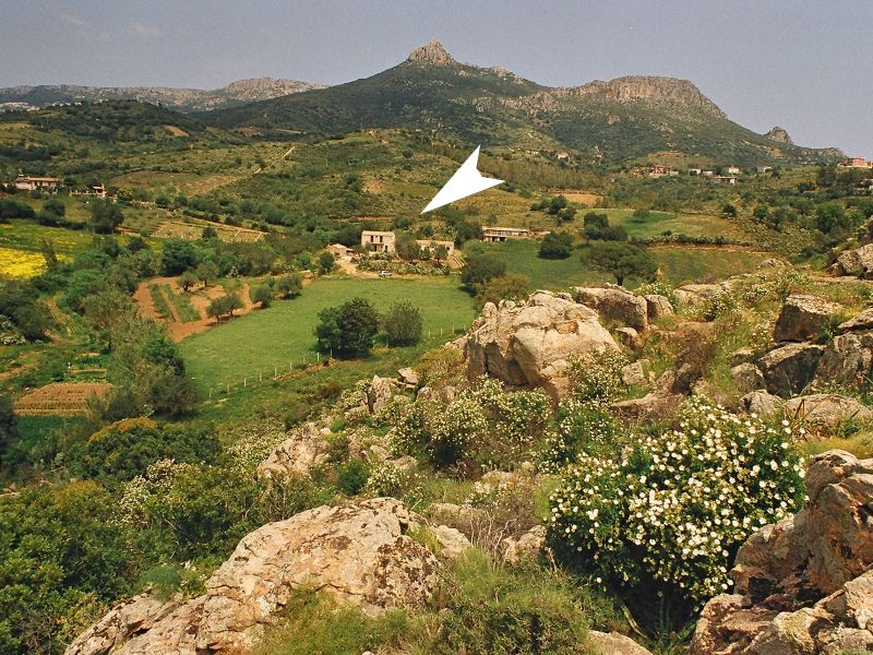 foto 21 Aluguer de férias entre particulares Santa Maria Navarrese villa Sardenha Ogliastra (província de)