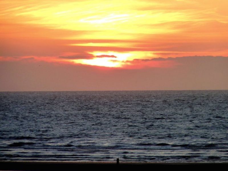 foto 10 Aluguer de férias entre particulares La Panne appartement   vista da varanda