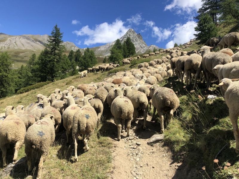 foto 17 Aluguer de frias entre particulares Serre Chevalier appartement Provena-Alpes-Costa Azul Altos Alpes