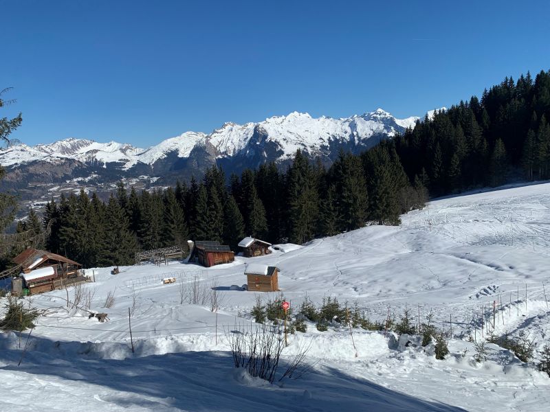 foto 12 Aluguer de frias entre particulares Morillon Grand Massif appartement Rdano-Alpes Alta Sabia