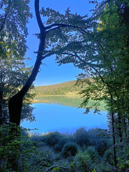 foto 26 Aluguer de frias entre particulares Foncine le Bas maison Franche-Comt Jura