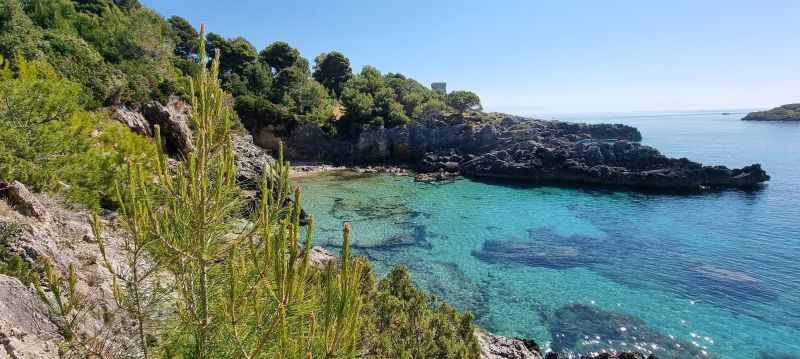 foto 13 Aluguer de férias entre particulares Marina di Camerota villa Campânia Salerno