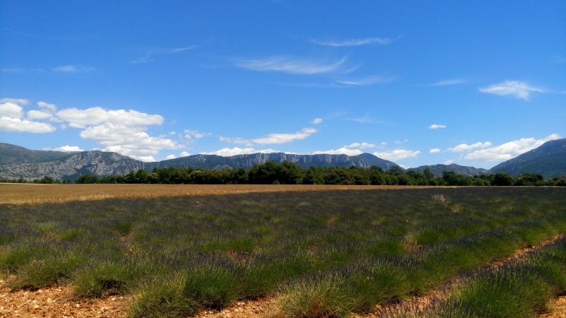 foto 17 Aluguer de frias entre particulares Artignosc-sur-Verdon maison Provena-Alpes-Costa Azul Var