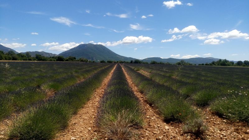 foto 18 Aluguer de frias entre particulares Artignosc-sur-Verdon maison Provena-Alpes-Costa Azul Var