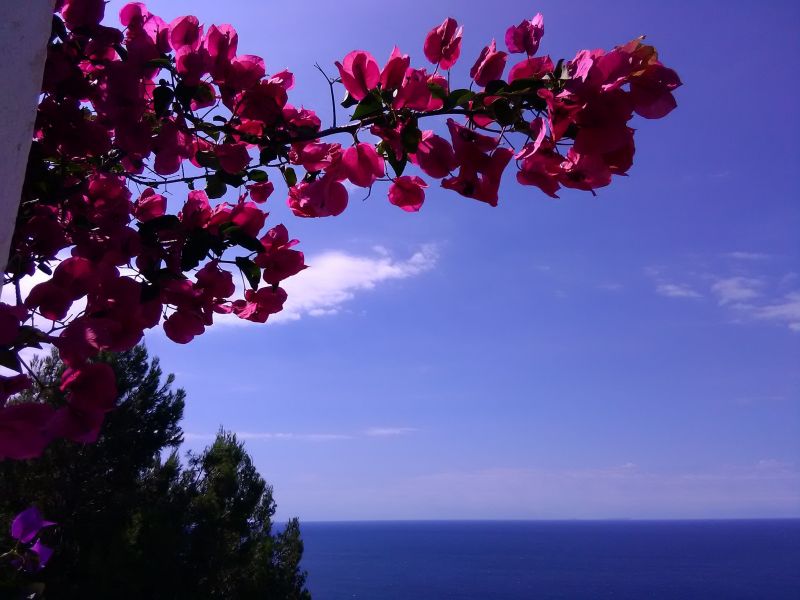 foto 4 Aluguer de férias entre particulares Sperlonga villa Lácio Latina