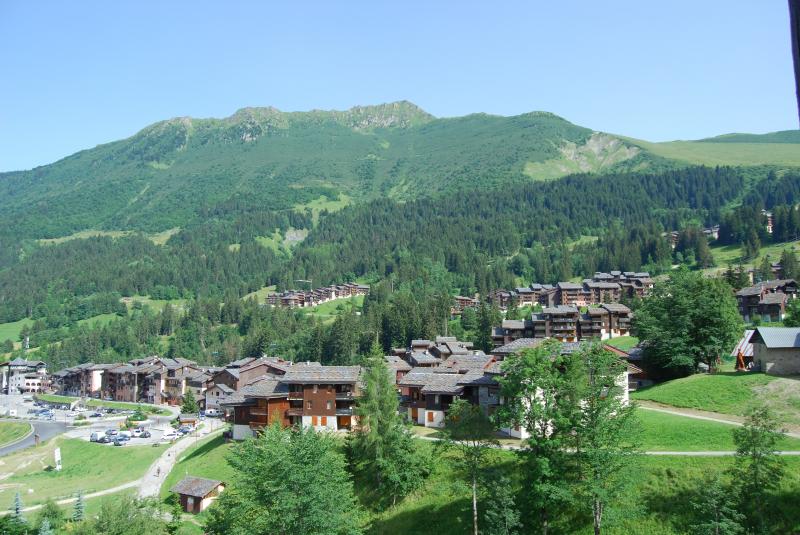 foto 8 Aluguer de férias entre particulares Moûtiers appartement Ródano-Alpes Sabóia Vista do terraço