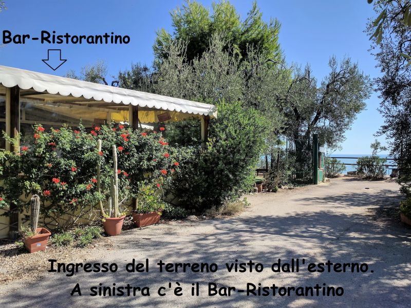 foto 6 Aluguer de frias entre particulares Mattinata maison Puglia Foggia (provncia de) Vista dos arredores