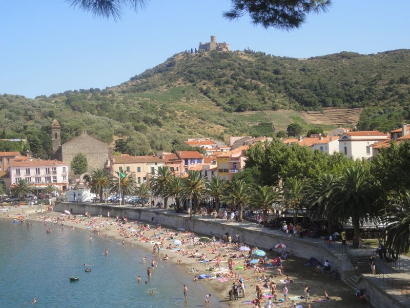 foto 14 Aluguer de férias entre particulares Collioure studio Languedoc-Roussillon Pirineus Orientais Praia