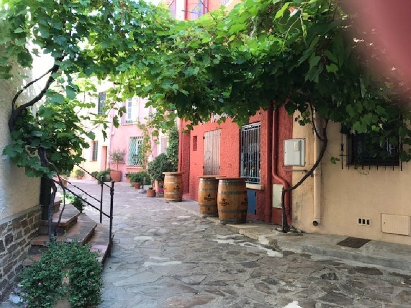 foto 1 Aluguer de férias entre particulares Collioure studio Languedoc-Roussillon Pirineus Orientais Vista desde do alojamento