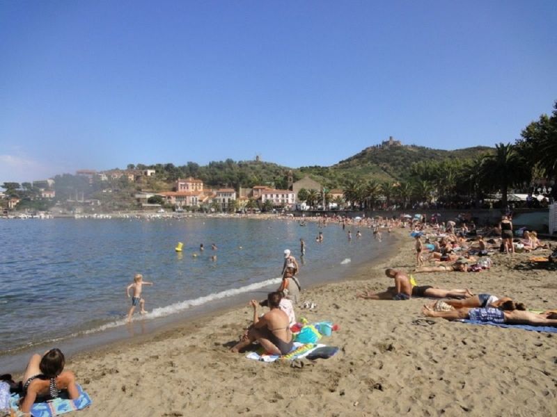 foto 0 Aluguer de férias entre particulares Collioure studio Languedoc-Roussillon Pirineus Orientais