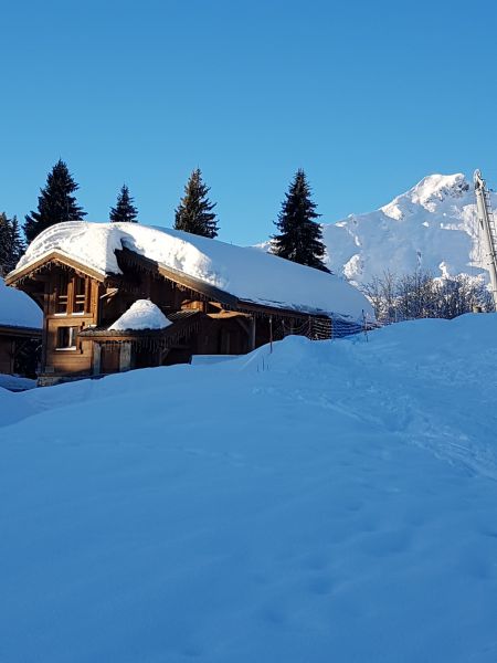 foto 18 Aluguer de frias entre particulares Praz de Lys Sommand chalet Rdano-Alpes Alta Sabia Vista exterior do alojamento