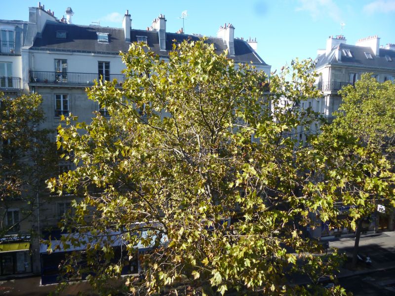 foto 7 Aluguer de frias entre particulares PARIS appartement Ile-de-France Paris Vista desde do alojamento