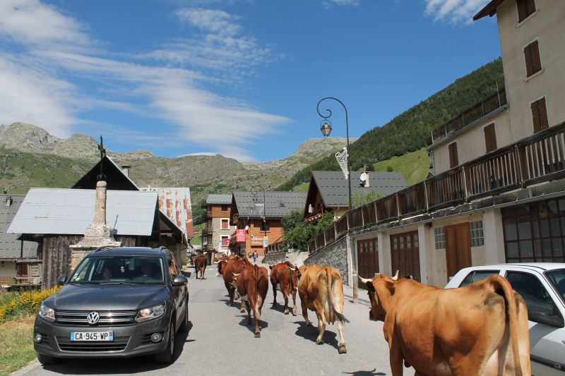 foto 14 Aluguer de frias entre particulares Saint Sorlin d'Arves appartement Rdano-Alpes Sabia Outras