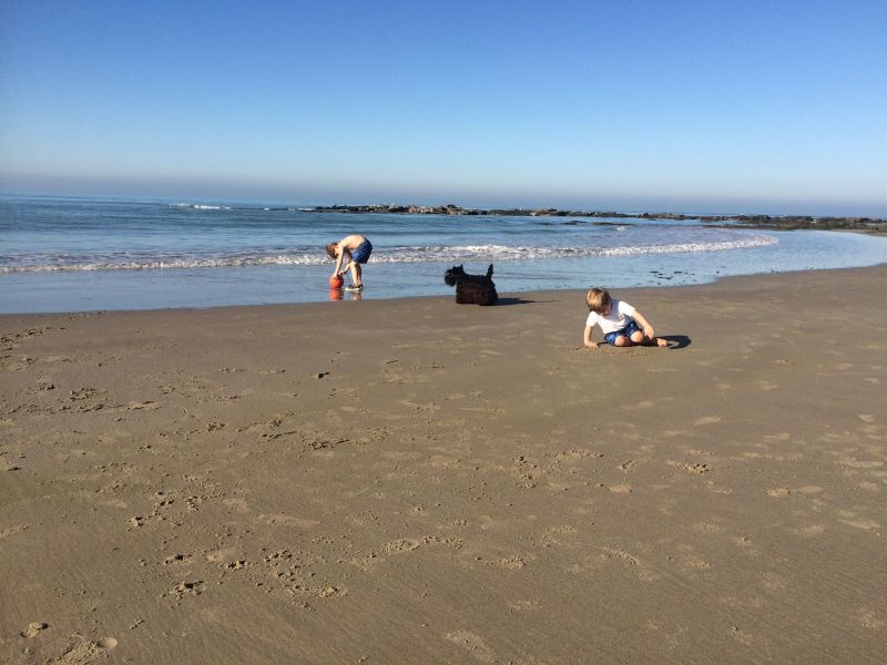 foto 17 Aluguer de férias entre particulares Wissant gite Nord-Pas de Calais Pas de Calais Praia