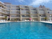 Aluguer frias Sesimbra para 4 pessoas: appartement n 120248