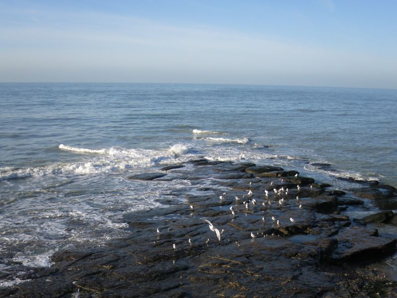 foto 6 Aluguer de férias entre particulares Wimereux appartement Nord-Pas de Calais Pas de Calais Vista desde do alojamento