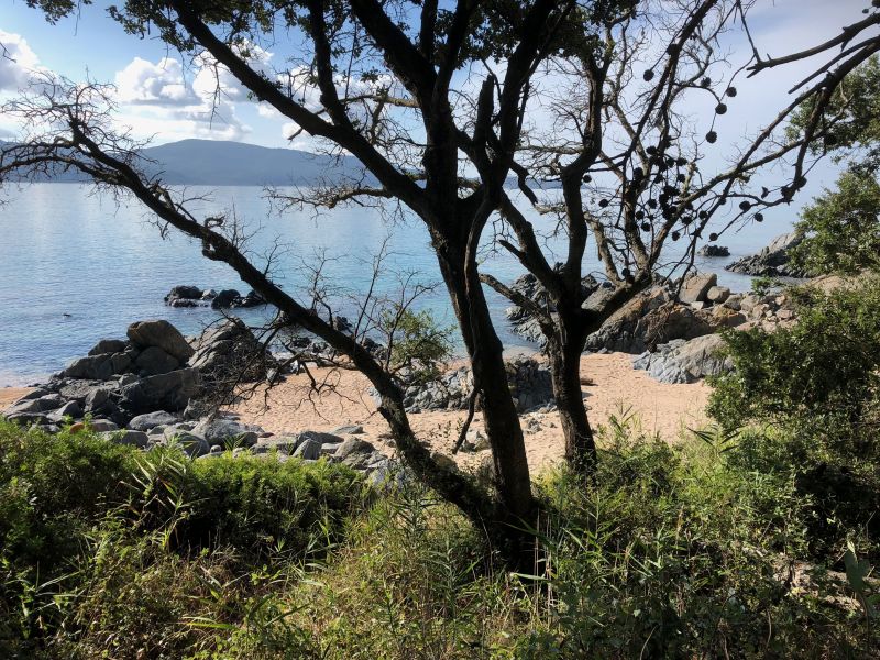 foto 20 Aluguer de férias entre particulares Olmeto maison Córsega Córsega do Sul Praia