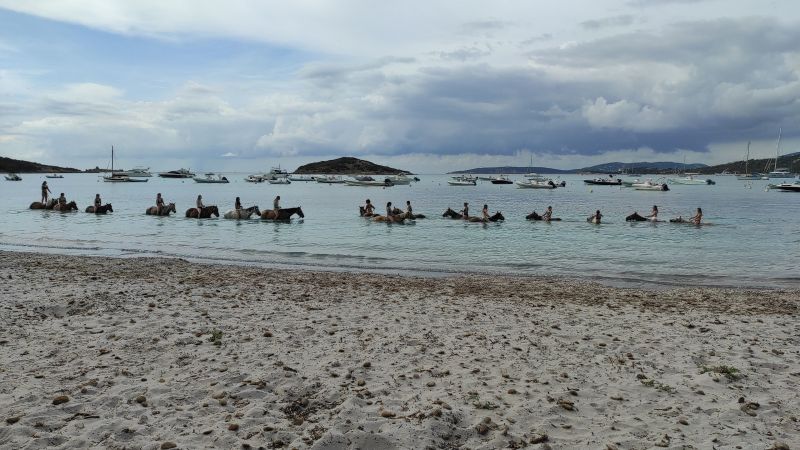 foto 27 Aluguer de férias entre particulares Porto Vecchio villa Córsega Córsega do Sul Praia