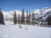 Aluguer estao de esqui Provena-Alpes-Costa Azul: appartement n 67748