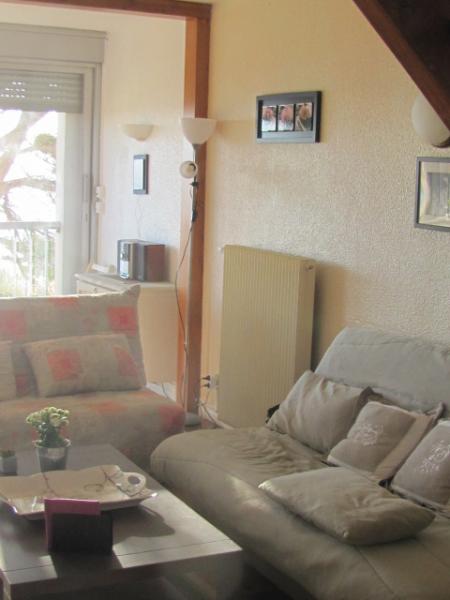 foto 7 Aluguer de frias entre particulares Cap d'Agde appartement Languedoc-Roussillon Hrault Sala de estar